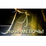 Подводная охота Еще один разбор очередного фейла.
