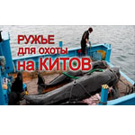 Снаряжение для подводной охоты Гибропневмат.