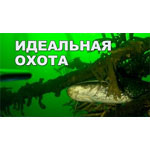 akvamaster сейм